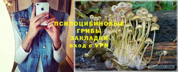 кристаллы Абаза