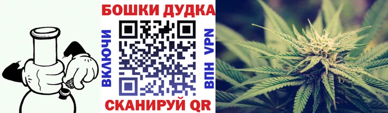 Шишки марихуана OG Kush Северская